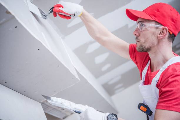 Best Commercial Painting  in Hazel Crest, IL